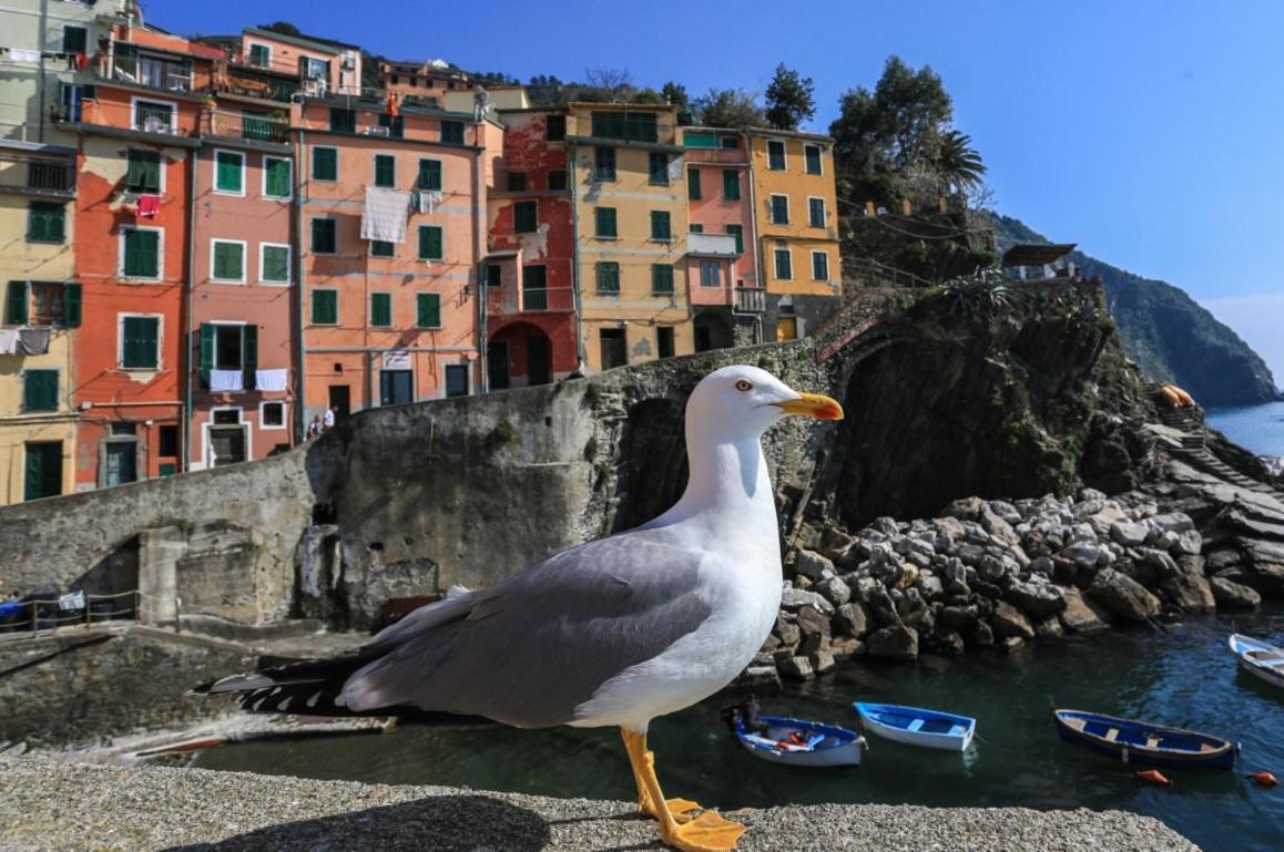 Terra Prime Suite Riomaggiore Esterno foto